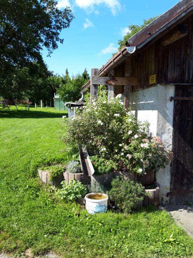 Ferienwohnung Im Seidlerhof Mit Balkon Und Garten Röhrnbach Esterno foto