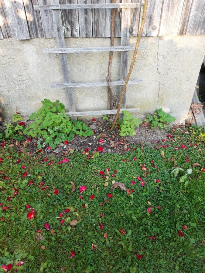 Ferienwohnung Im Seidlerhof Mit Balkon Und Garten Röhrnbach Esterno foto