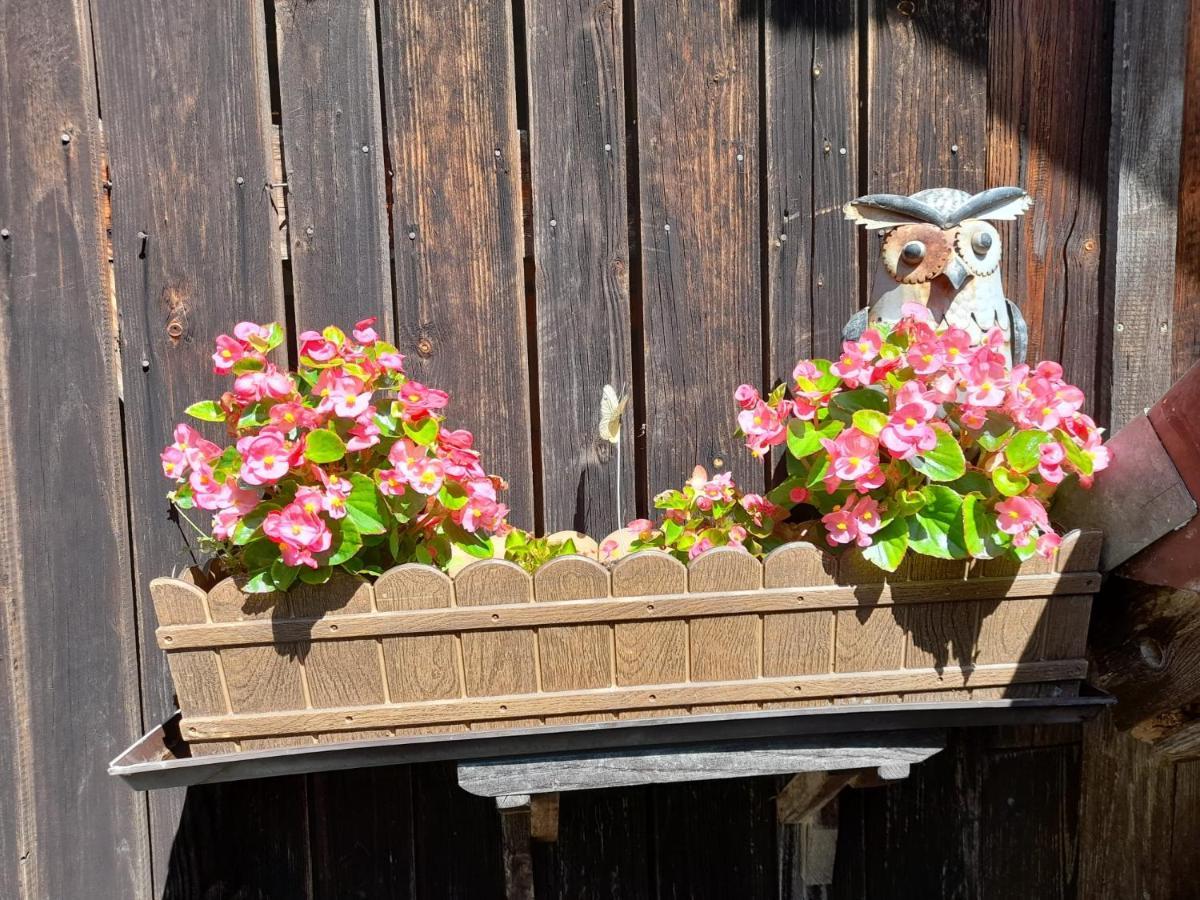 Ferienwohnung Im Seidlerhof Mit Balkon Und Garten Röhrnbach Esterno foto