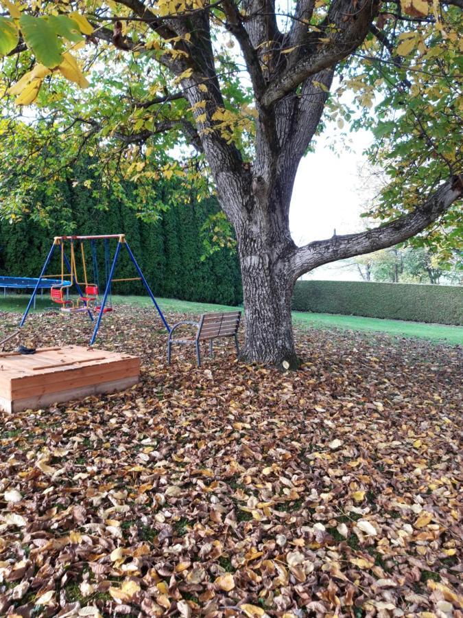 Ferienwohnung Im Seidlerhof Mit Balkon Und Garten Röhrnbach Esterno foto