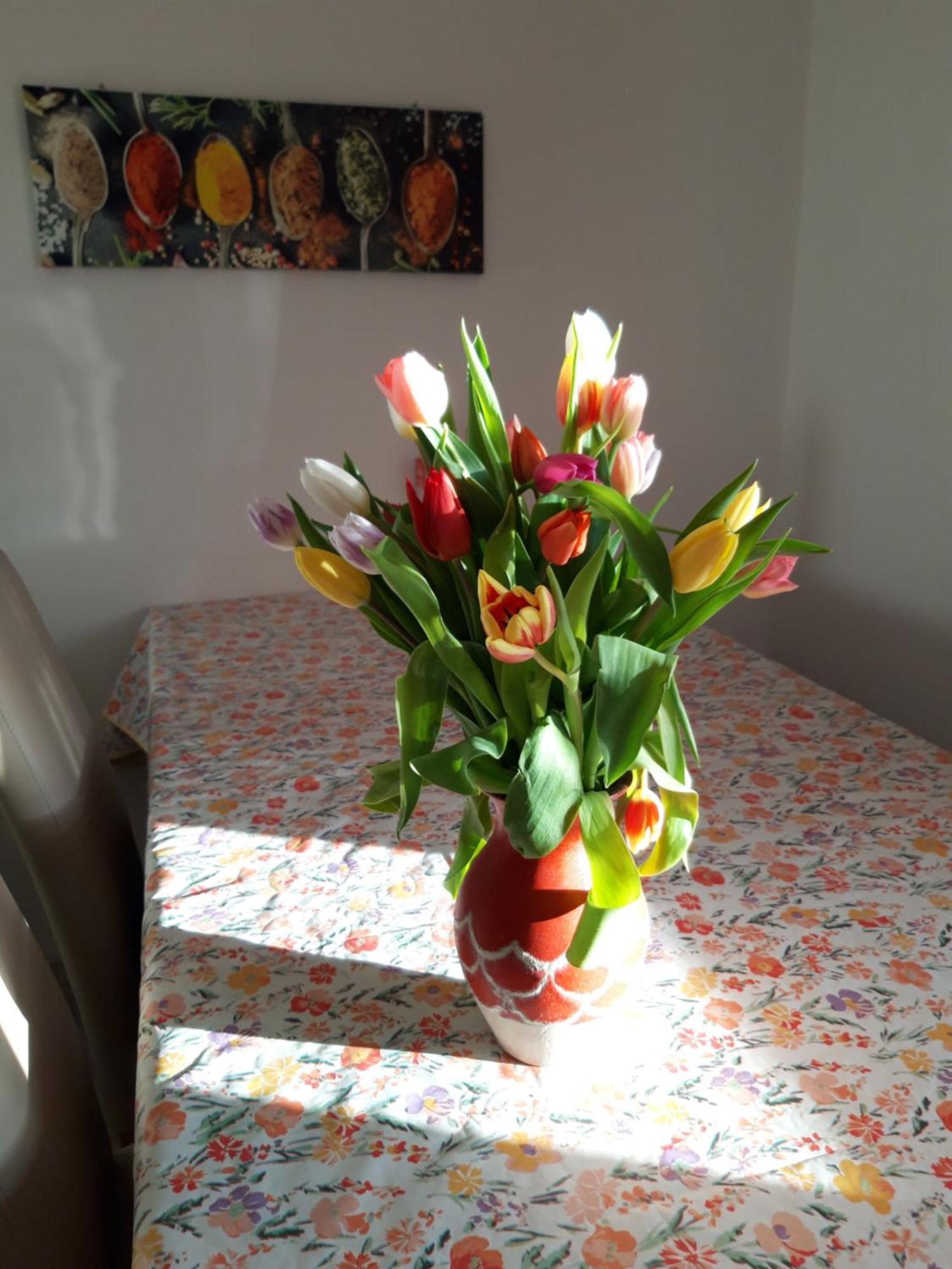 Ferienwohnung Im Seidlerhof Mit Balkon Und Garten Röhrnbach Esterno foto